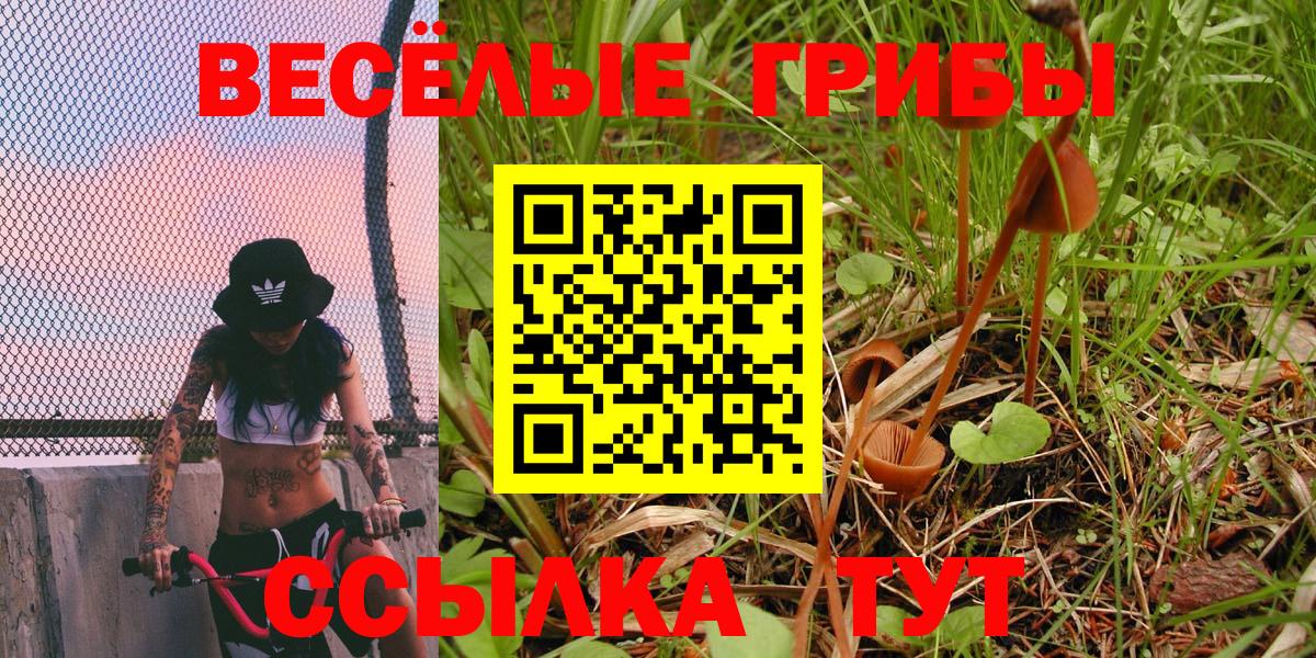 цены наркотик  Галлюциногенные грибы мицелий  Вход с VPN  Нарткала 
