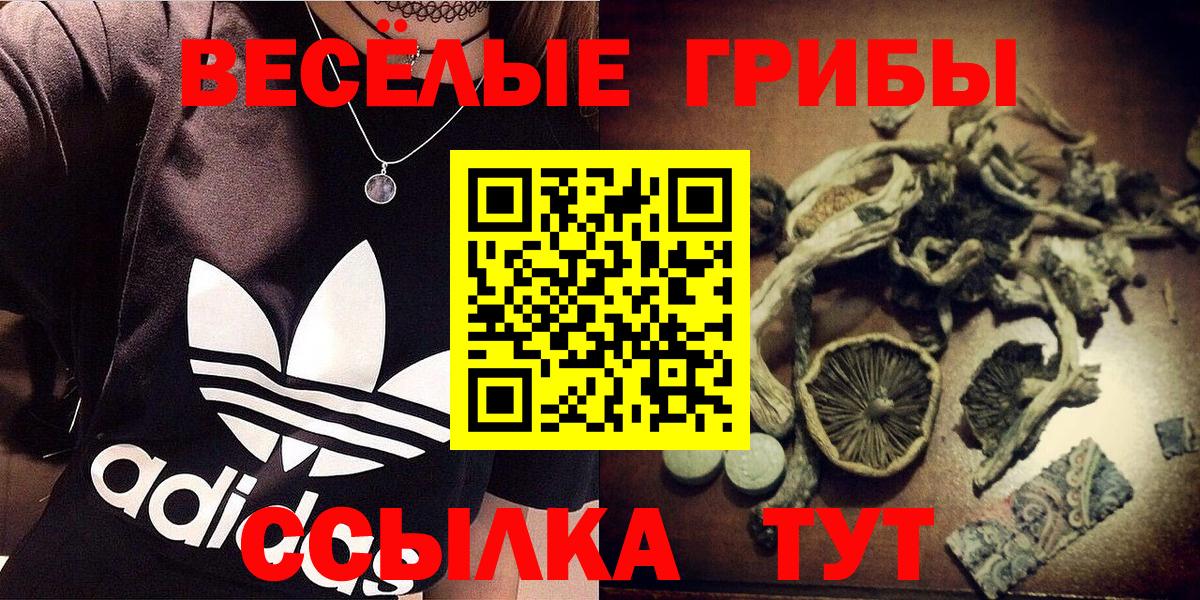 Псилоцибиновые грибы GOLDEN TEACHER Нарткала